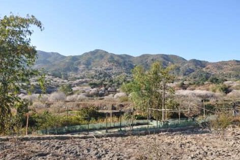 寨里富硒蔬菜种植基地（名胜富硒农庄）-硒宝网