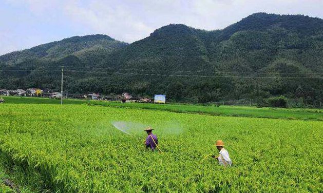 寨里富硒蔬菜种植基地（名胜富硒农庄）-硒宝网