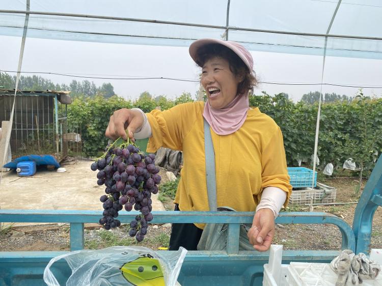 富硒粮食和蔬菜的标准(粮食蔬菜标准富硒是什么)-硒宝网
