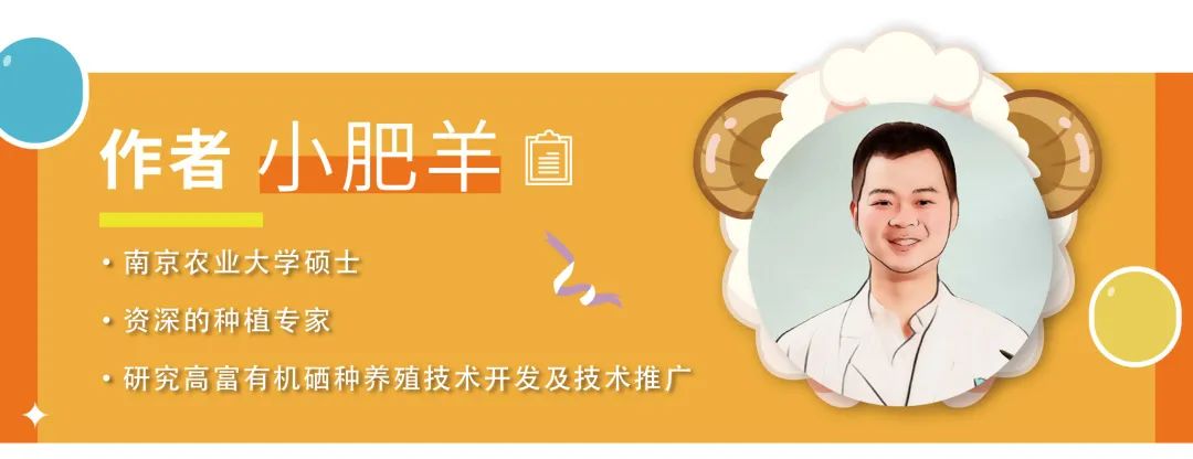 富硒蔬菜的功效与作用（蔬菜功效作用富硒是什么）-硒宝网