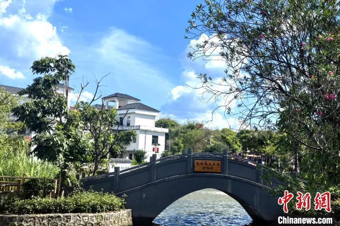 富硒蔬菜怎样种植的呢(富硒蔬菜的标准)-硒宝网