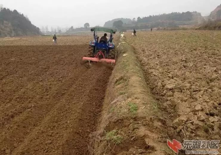 富硒蔬菜有哪些品种的（蔬菜品种富硒有哪些）-硒宝网