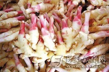 富硒蔬菜有哪些品种的（蔬菜品种富硒有哪些）-硒宝网