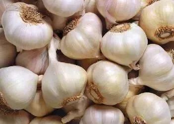 富硒蔬菜有哪些品种的（蔬菜品种富硒有哪些）-硒宝网