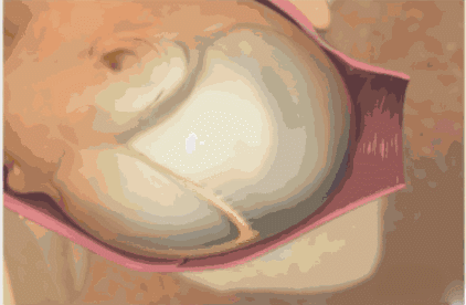 孕妇补钙什么时候开始(孕妇开始补钙时候吃什么好)-硒宝网