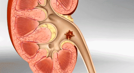 孕妇补钙什么时候开始(孕妇开始补钙时候吃什么好)-硒宝网