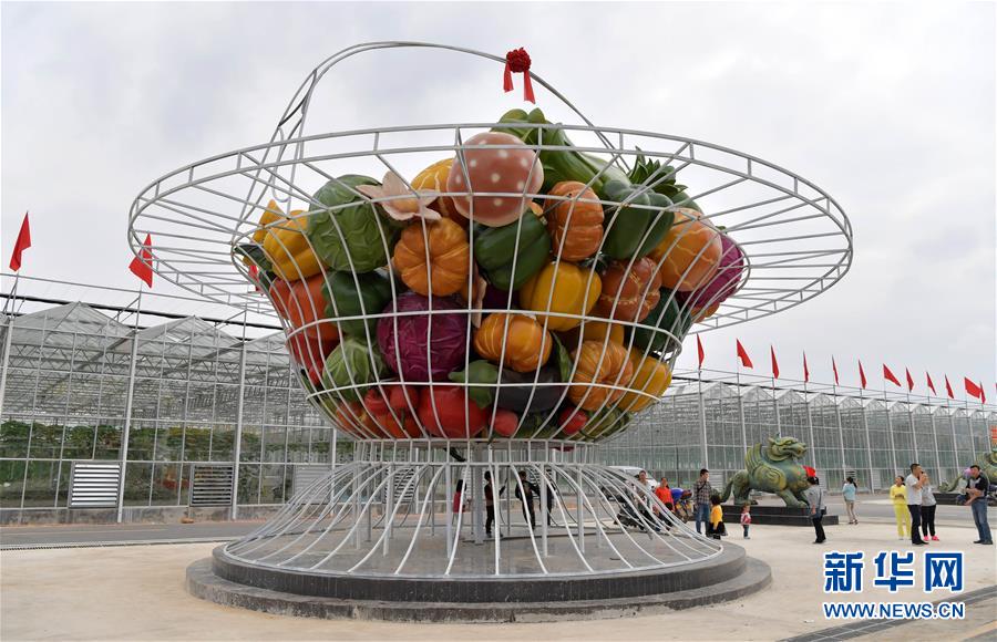 丰城富硒产业基地蔬菜(丰城富硒米专卖店)-硒宝网