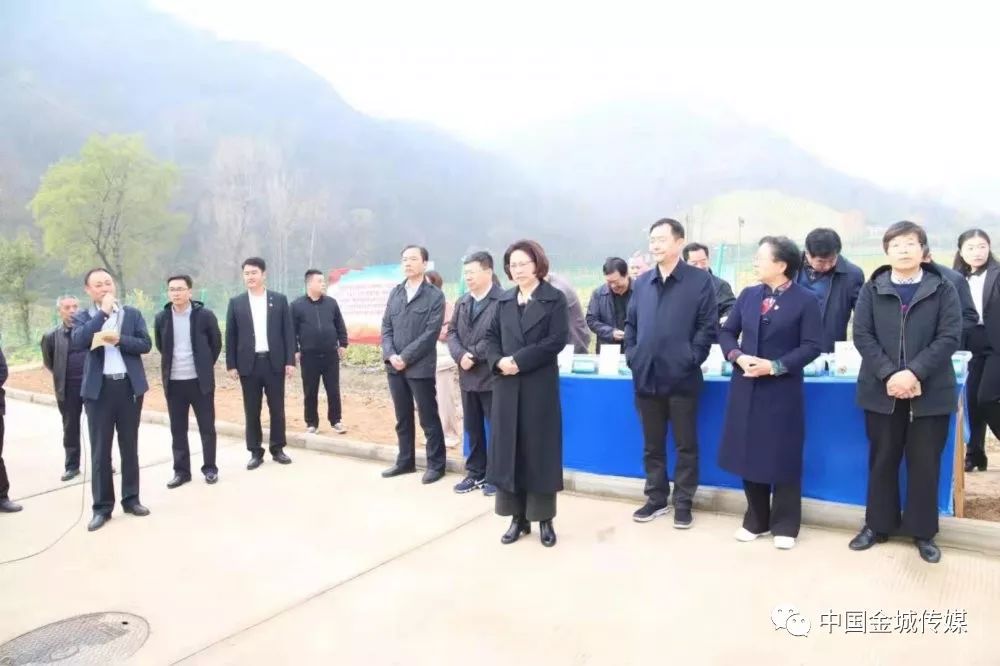 高山富硒蔬菜建设项目(高山蔬菜基地)-硒宝网