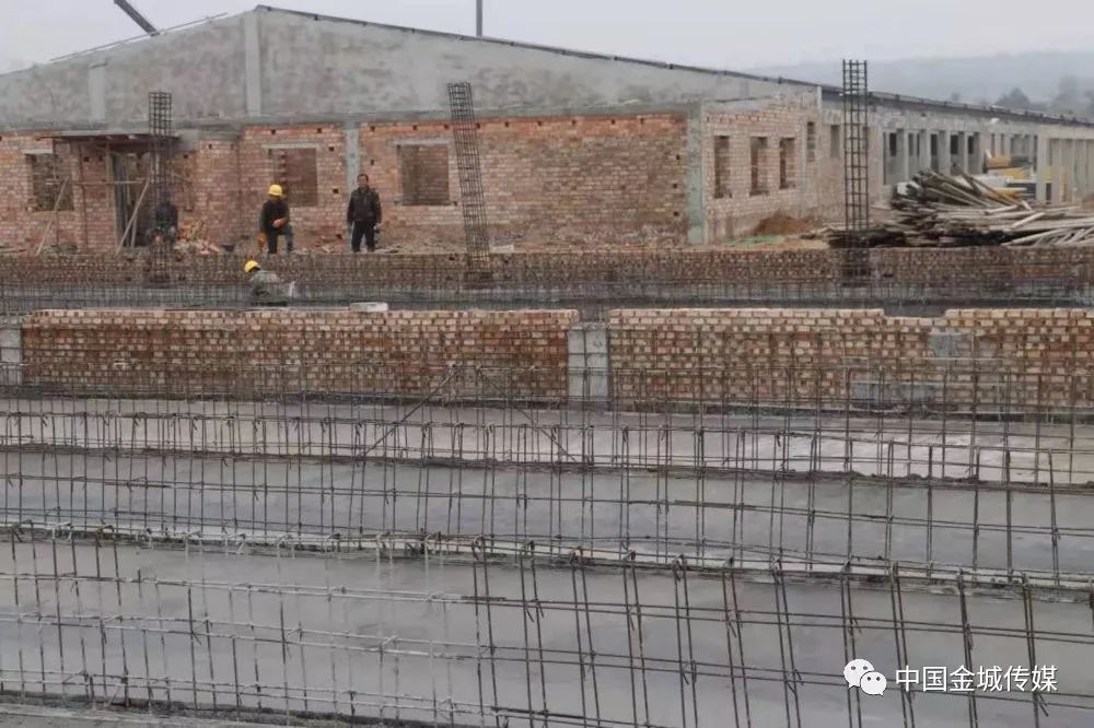 高山富硒蔬菜建设项目(高山蔬菜基地)-硒宝网