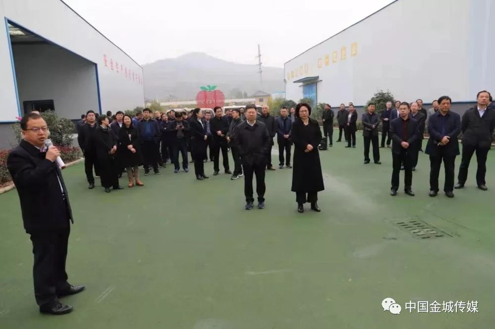 高山富硒蔬菜建设项目(高山蔬菜基地)-硒宝网