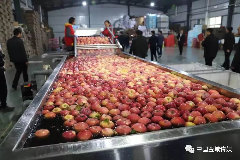 高山富硒蔬菜建设项目(高山蔬菜基地)-硒宝网