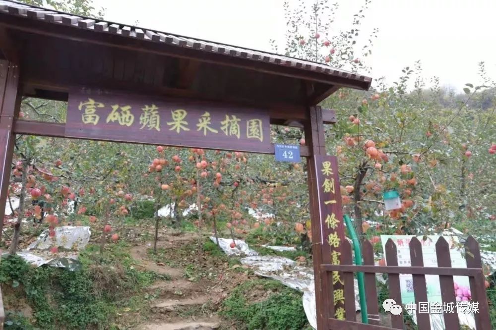 高山富硒蔬菜建设项目(高山蔬菜基地)-硒宝网