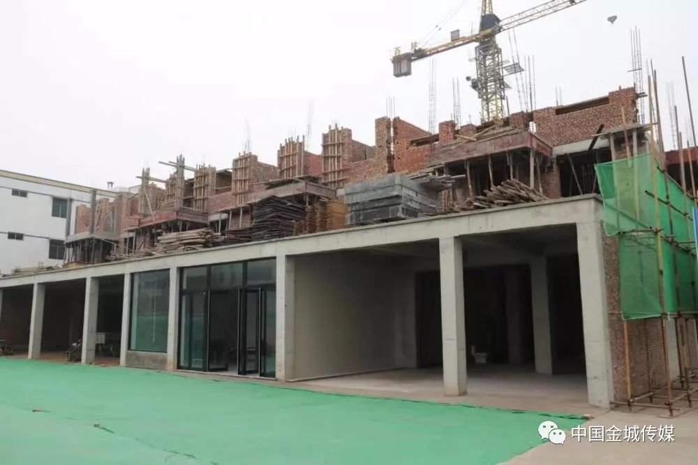 高山富硒蔬菜建设项目(高山蔬菜基地)-硒宝网