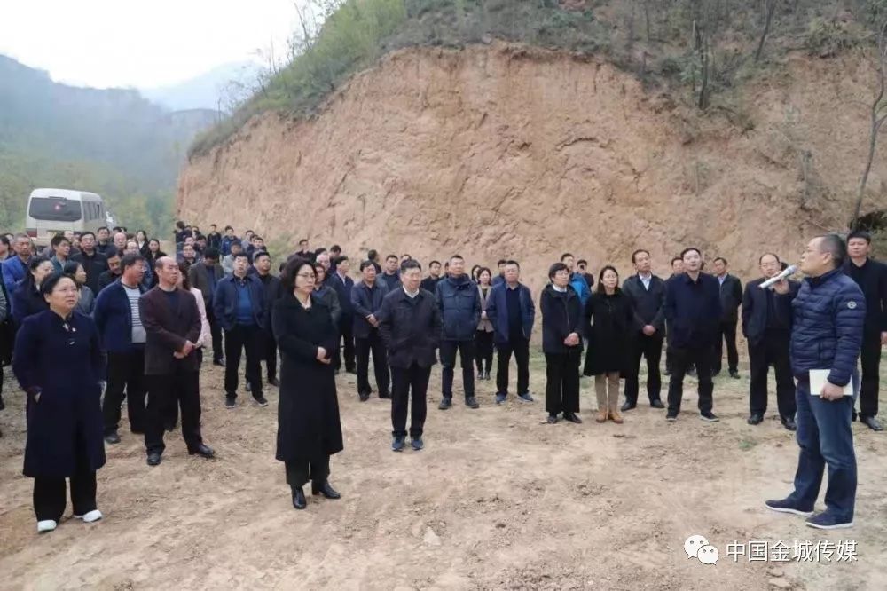 高山富硒蔬菜建设项目(高山蔬菜基地)-硒宝网