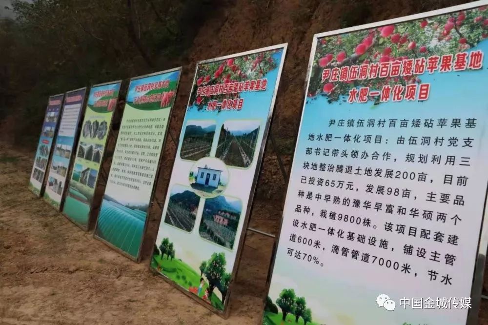 高山富硒蔬菜建设项目(高山蔬菜基地)-硒宝网