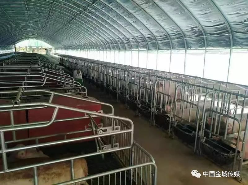 高山富硒蔬菜建设项目(高山蔬菜基地)-硒宝网