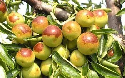 哪个季节适合补钙（季节补钙适合多大孩子）-硒宝网