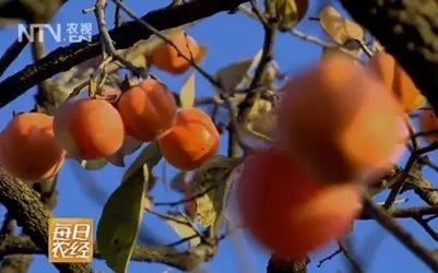 哪个季节适合补钙（季节补钙适合多大孩子）-硒宝网