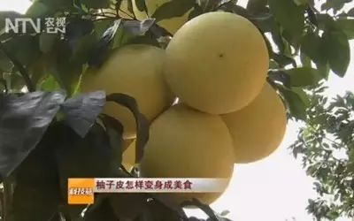 哪个季节适合补钙（季节补钙适合多大孩子）-硒宝网