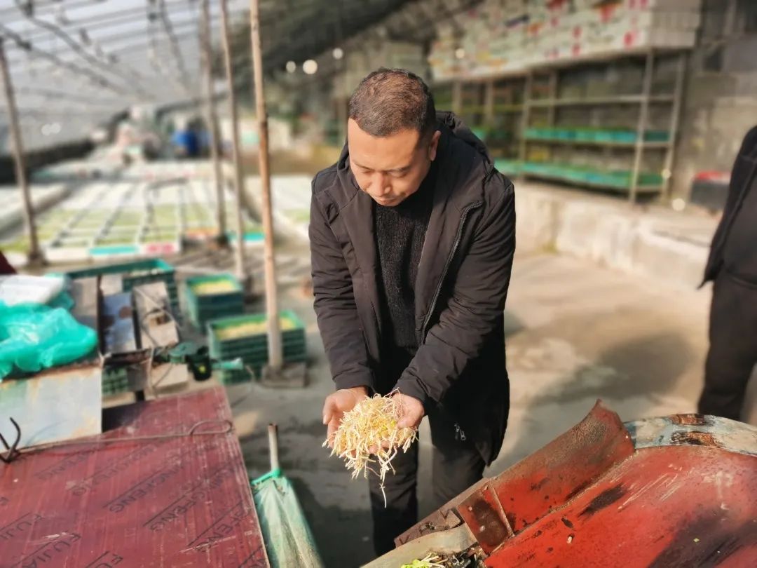 邯郸富硒蔬菜种植基地(邯郸有机蔬菜基地)-硒宝网