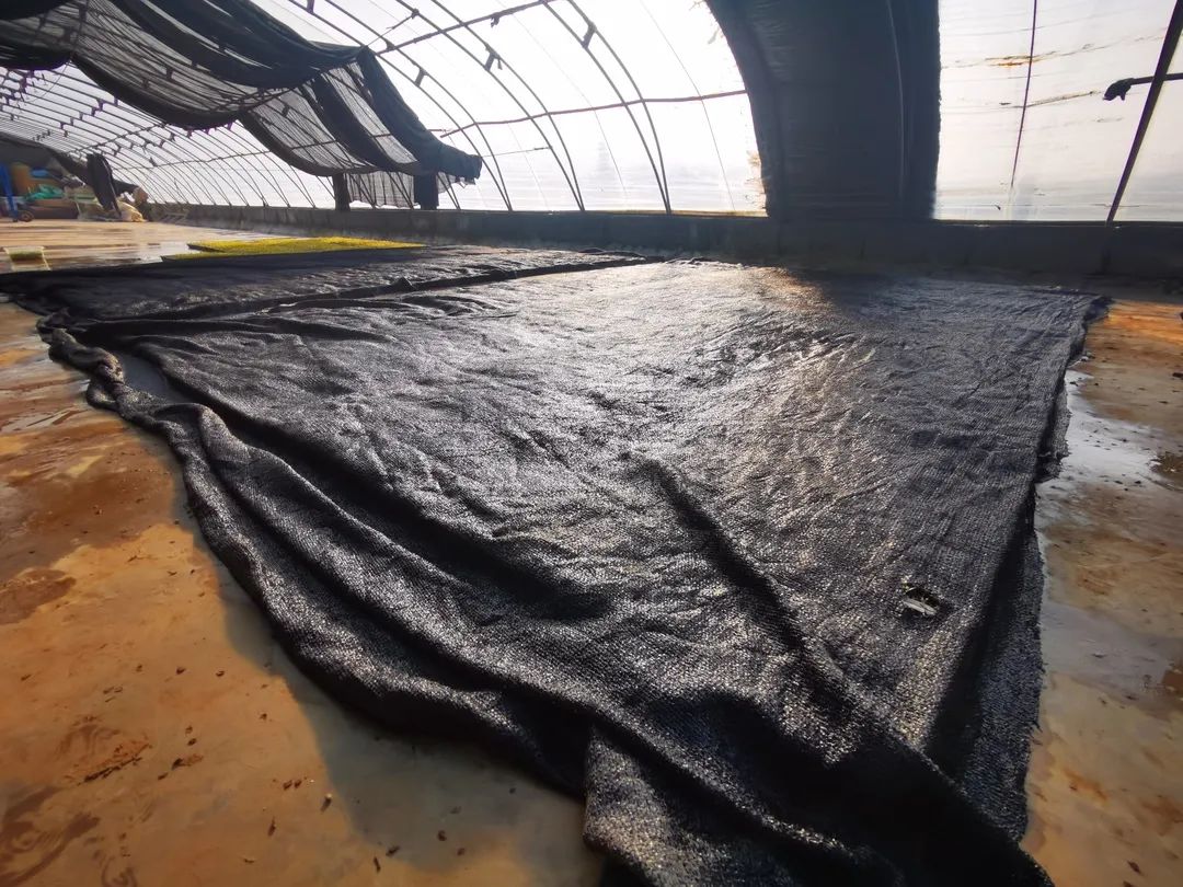 邯郸富硒蔬菜种植基地(邯郸有机蔬菜基地)-硒宝网