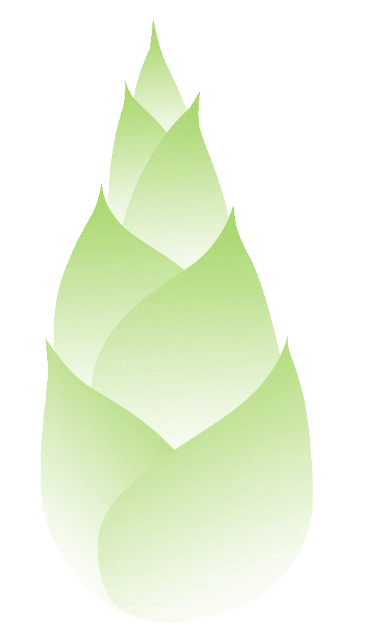 富硒蔬菜鸡蛋饼的做法(鸡蛋蔬菜饼的做法视频)-硒宝网