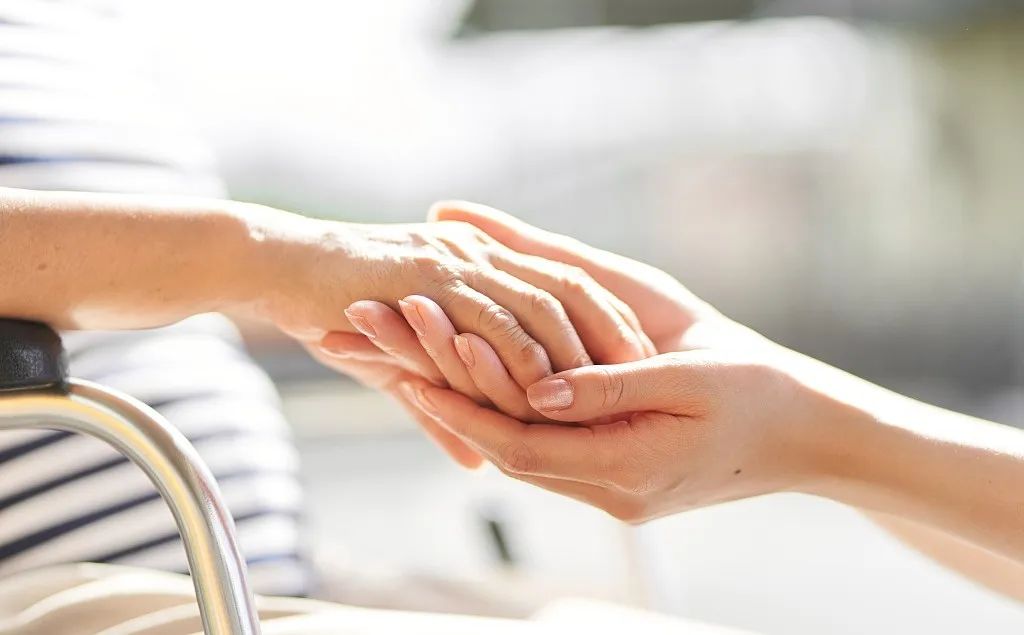 富硒蔬菜鸡蛋饼的做法(鸡蛋蔬菜饼的做法视频)-硒宝网