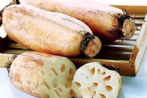 富硒蔬菜的食物有哪些(蔬菜食物富硒有哪些)-硒宝网