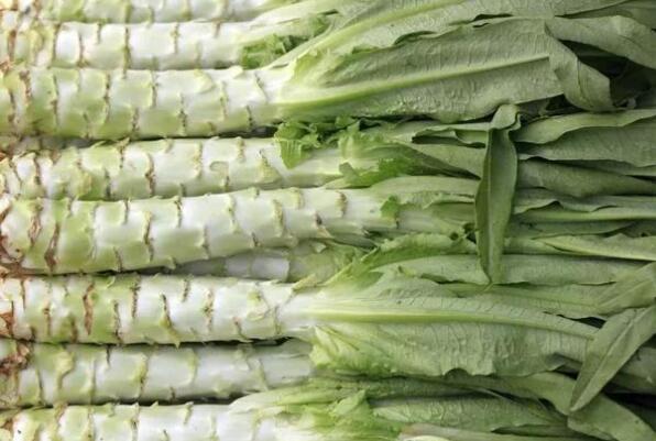 富硒蔬菜的食物有哪些(蔬菜食物富硒有哪些)-硒宝网