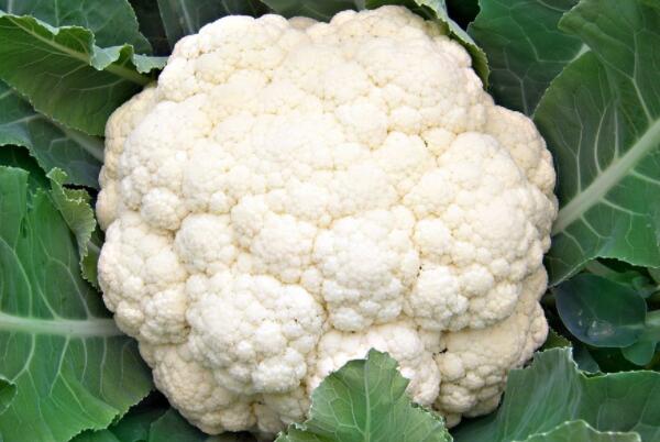 富硒蔬菜的食物有哪些(蔬菜食物富硒有哪些)-硒宝网