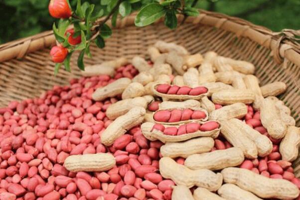 富硒蔬菜的食物有哪些(蔬菜食物富硒有哪些)-硒宝网