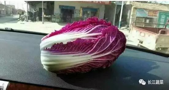 紫色蔬菜富硒嘛能吃吗（紫菜含硒元素吗）-硒宝网