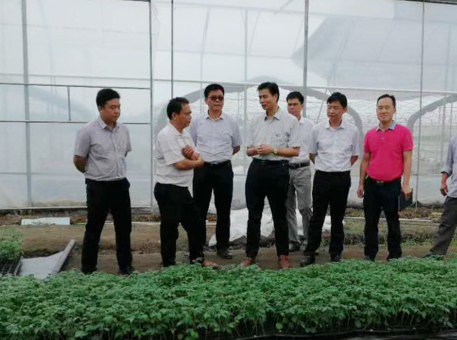 富硒蔬菜种植示范基地（中国富硒蔬菜杂交）-硒宝网