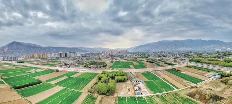 青海平安富硒蔬菜基地（青海蔬菜种植基地）-硒宝网