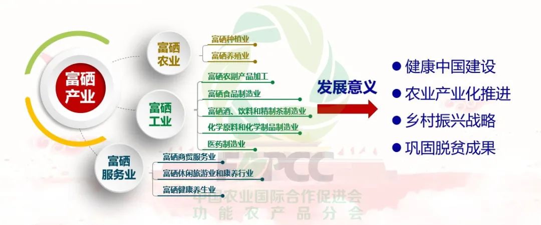 富硒蔬菜的研究和开发(蔬菜开发研究富硒的方法)-硒宝网