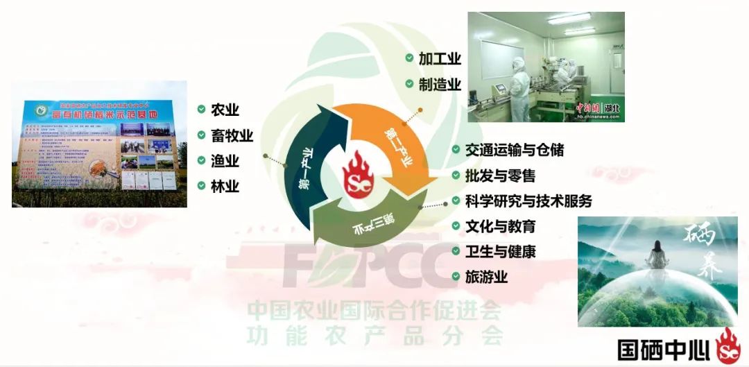 富硒蔬菜的研究和开发(蔬菜开发研究富硒的方法)-硒宝网