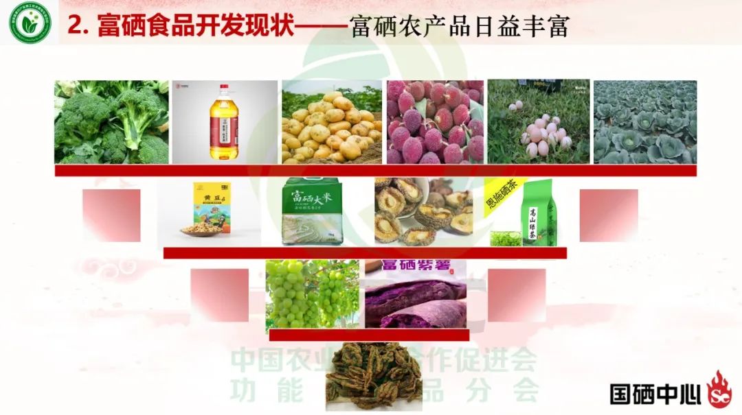 富硒蔬菜的研究和开发(蔬菜开发研究富硒的方法)-硒宝网