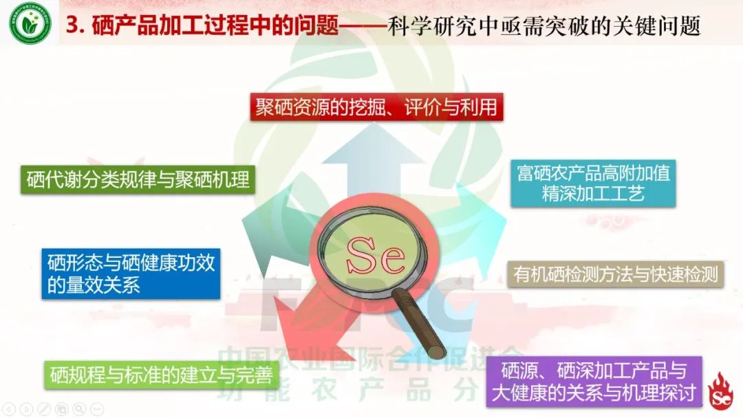 富硒蔬菜的研究和开发(蔬菜开发研究富硒的方法)-硒宝网