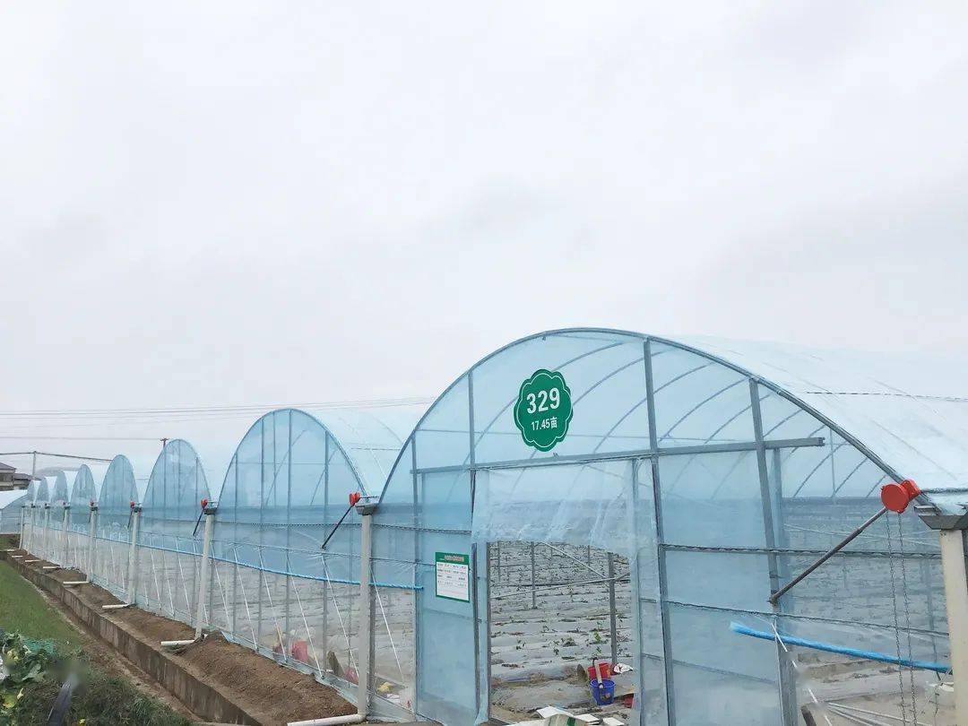 于都梓山万亩富硒蔬菜(于都梓山富硒蔬菜基地)-硒宝网