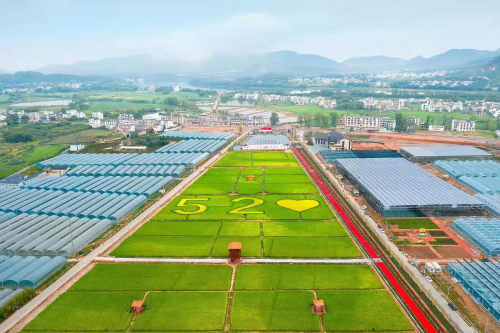 于都梓山万亩富硒蔬菜(于都富硒农业)-硒宝网