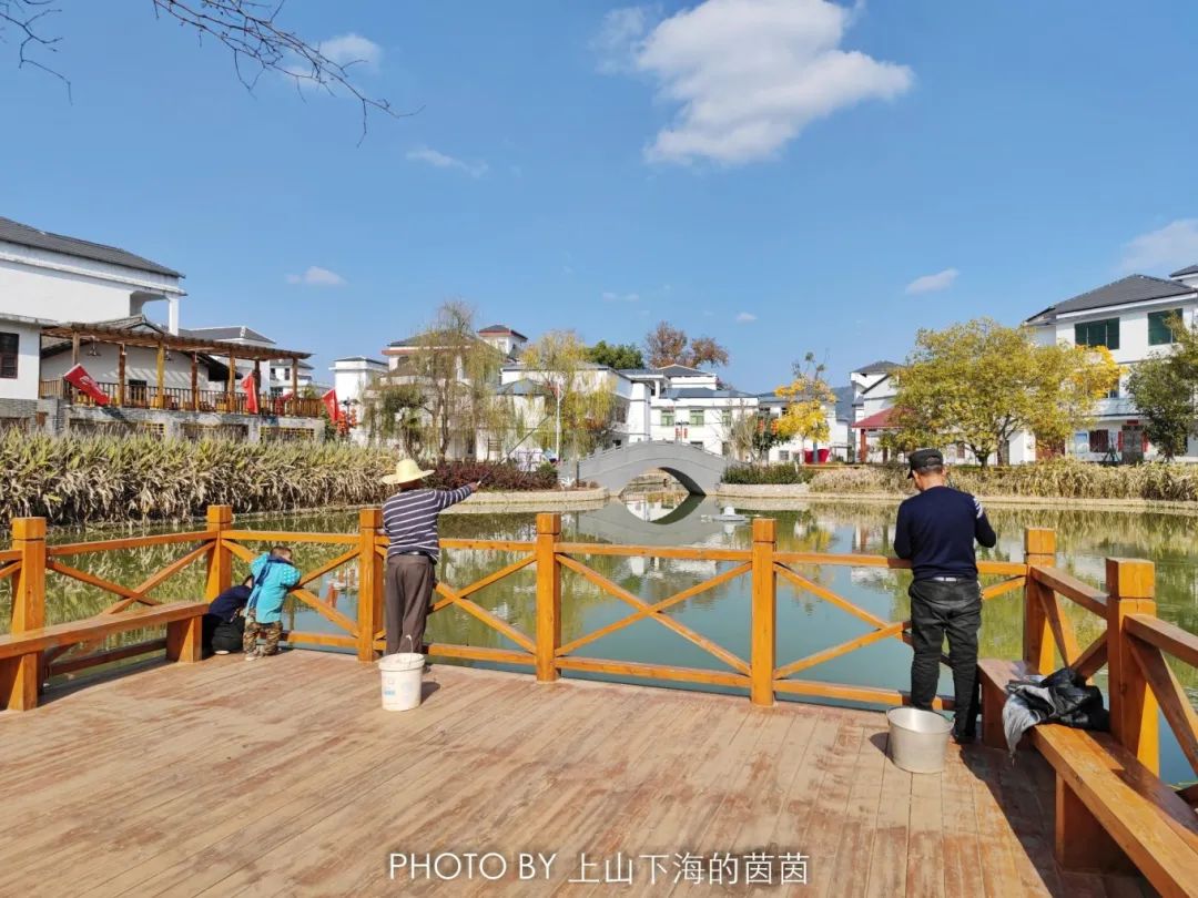 江西潭头村蔬菜富硒吗(江西富硒蔬菜产业集群)-硒宝网