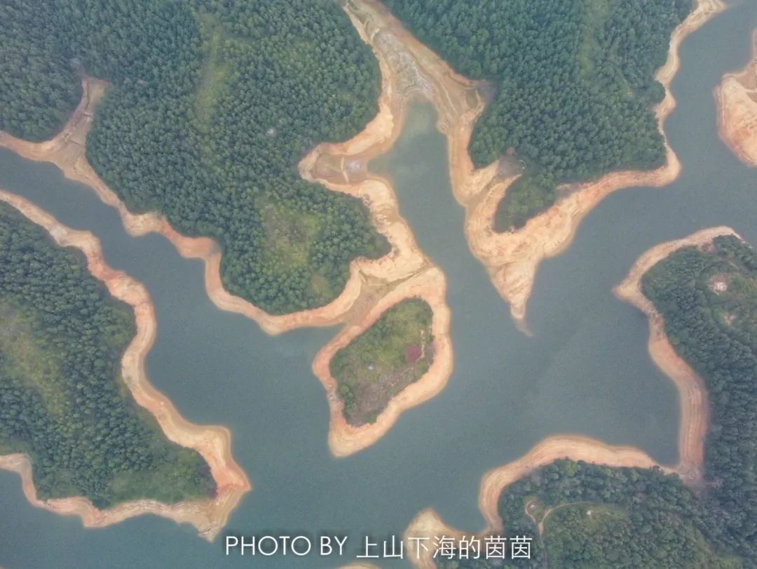 江西潭头村蔬菜富硒吗(江西富硒蔬菜产业集群)-硒宝网