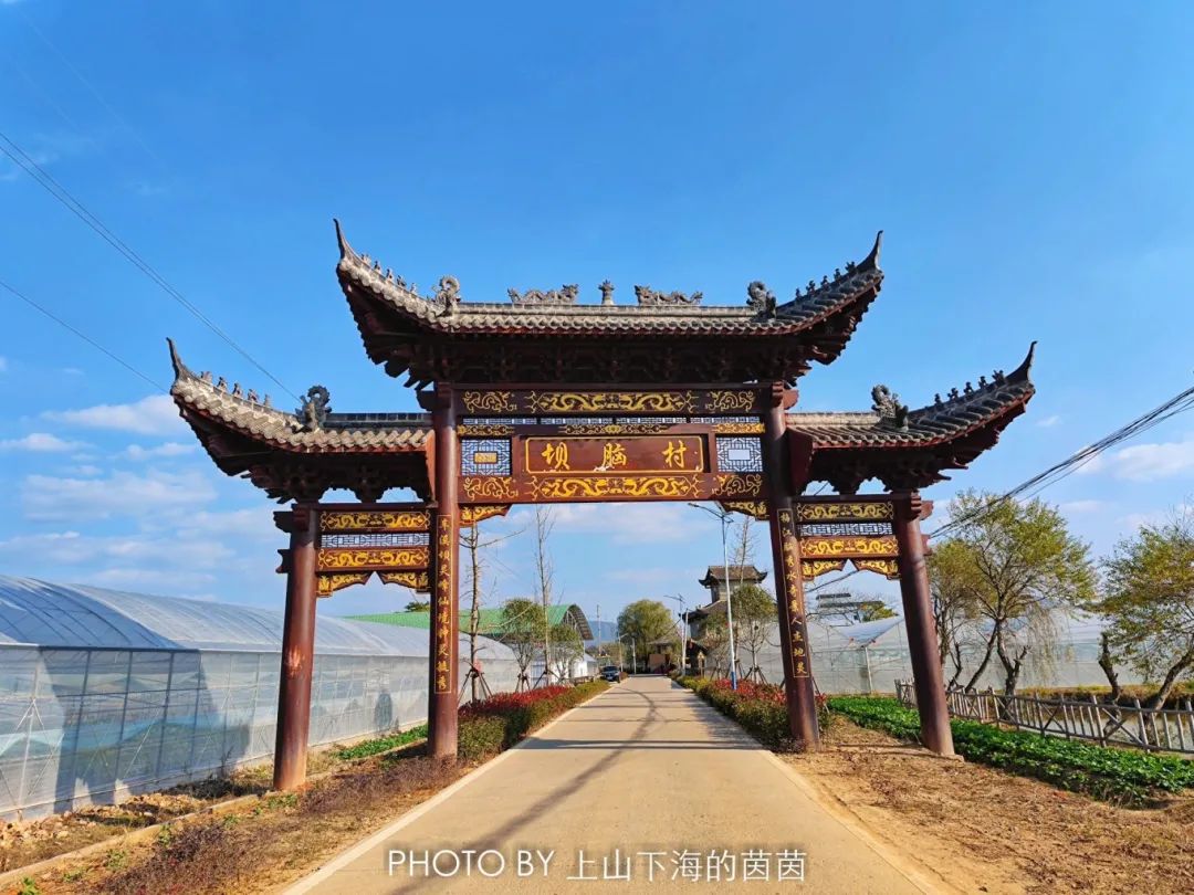 江西潭头村蔬菜富硒吗(江西富硒蔬菜产业集群)-硒宝网