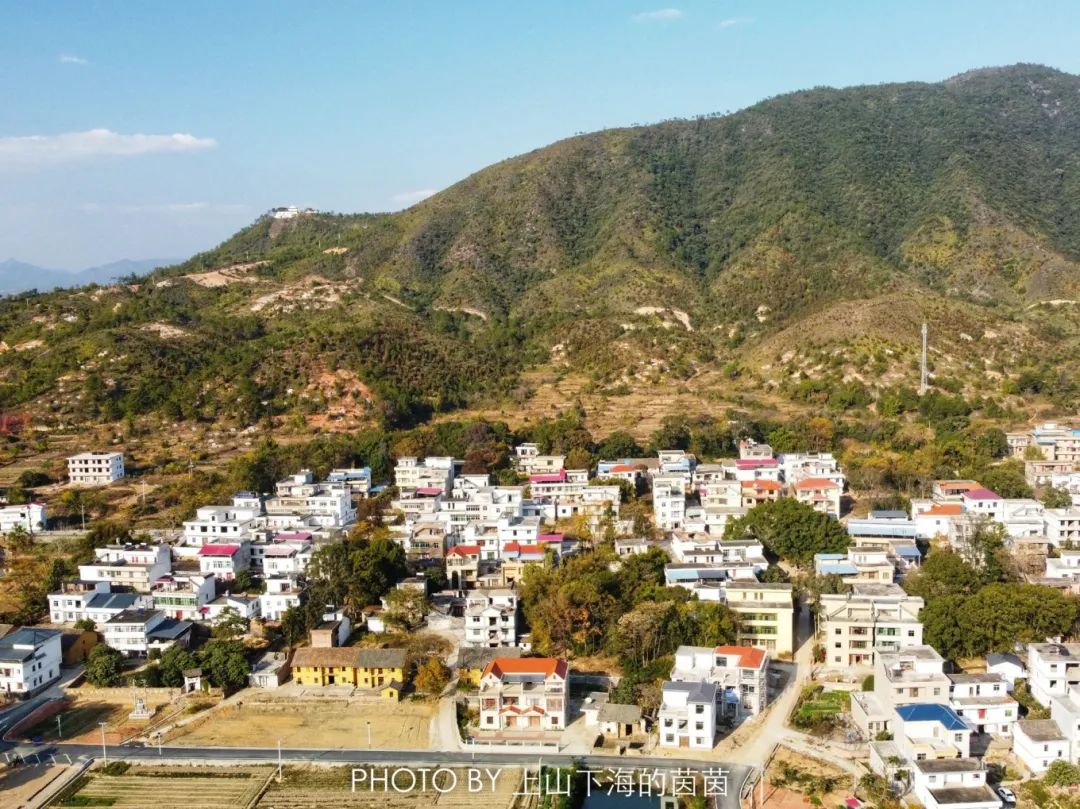 江西潭头村蔬菜富硒吗(江西富硒蔬菜产业集群)-硒宝网