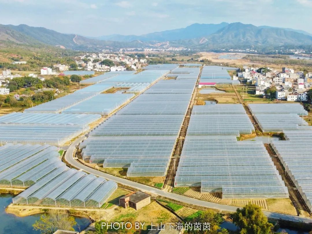 江西潭头村蔬菜富硒吗(江西富硒蔬菜产业集群)-硒宝网