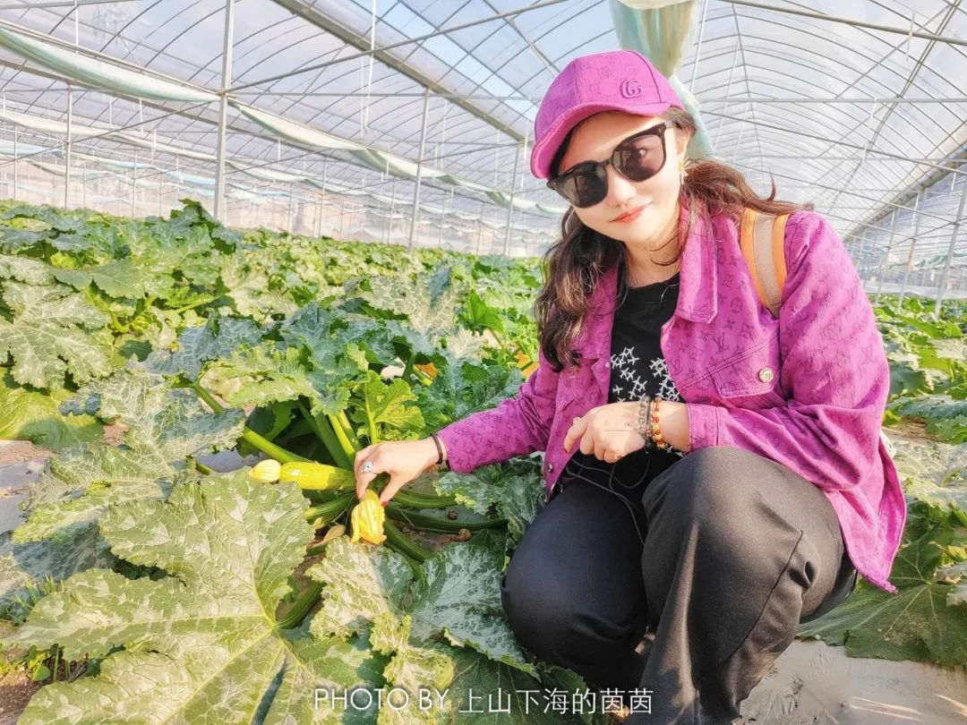 江西潭头村蔬菜富硒吗(江西富硒蔬菜产业集群)-硒宝网