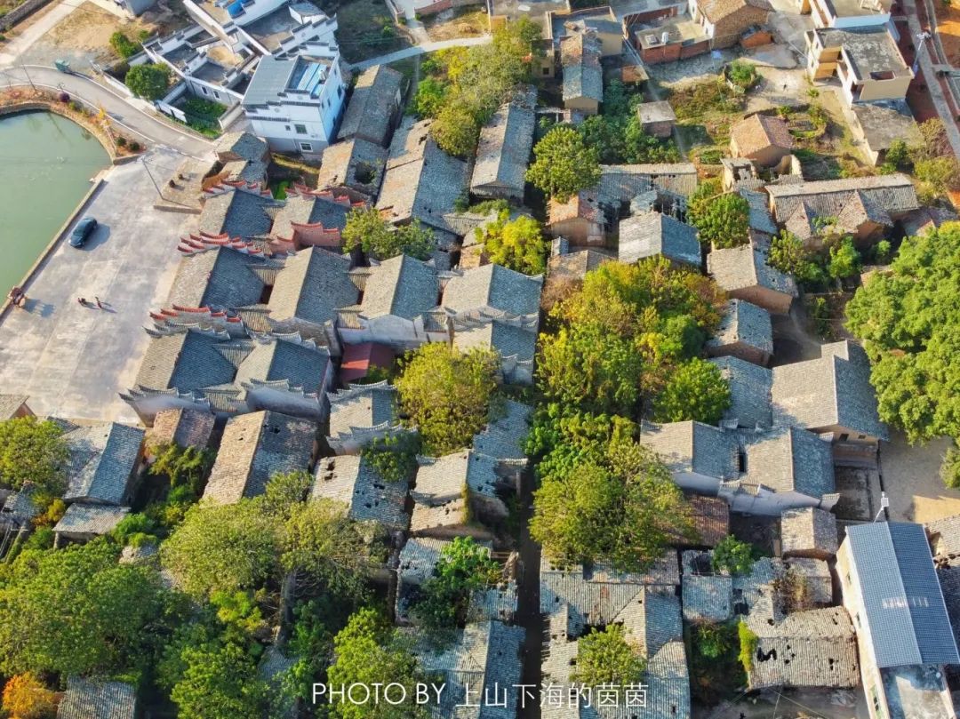 江西潭头村蔬菜富硒吗(江西富硒蔬菜产业集群)-硒宝网