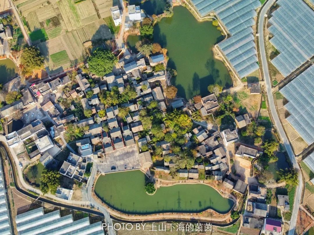 江西潭头村蔬菜富硒吗(江西富硒蔬菜产业集群)-硒宝网