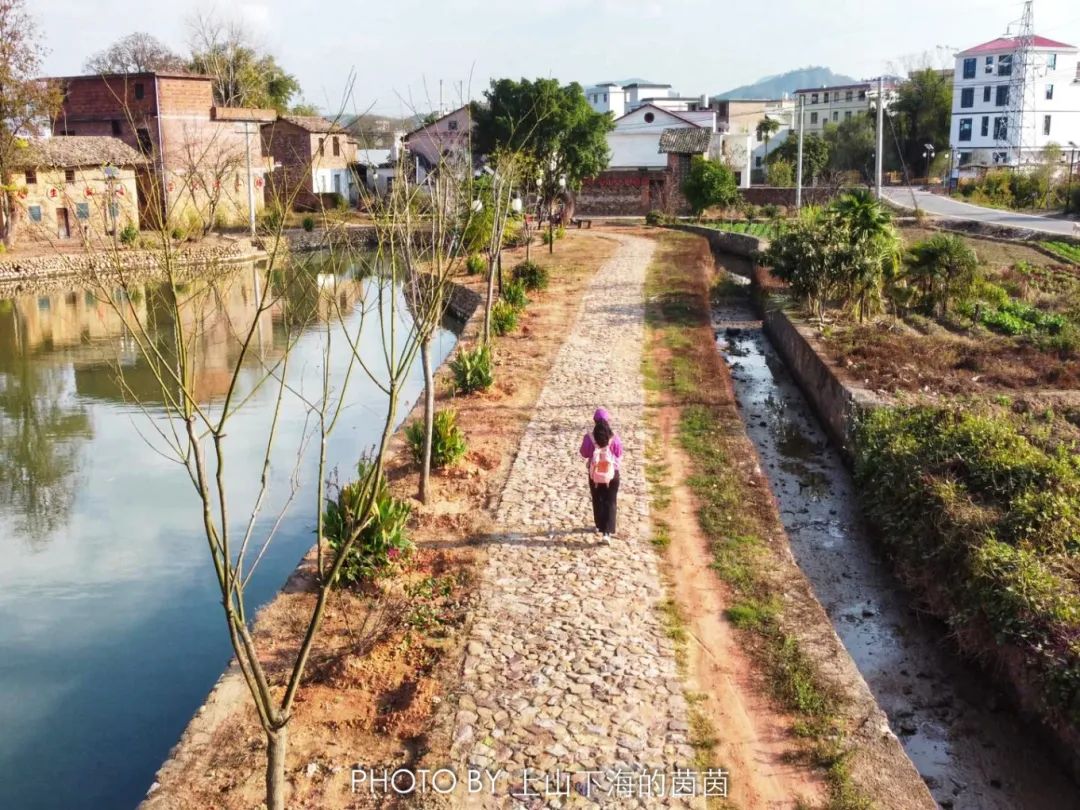江西潭头村蔬菜富硒吗(江西富硒蔬菜产业集群)-硒宝网