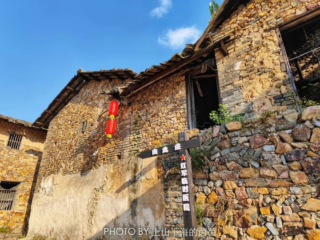 江西潭头村蔬菜富硒吗(江西富硒蔬菜产业集群)-硒宝网